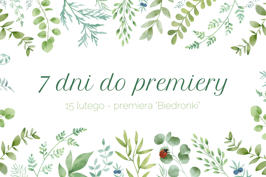 Odliczanie do premiery książki "Biedronka szuka przyjaciela"