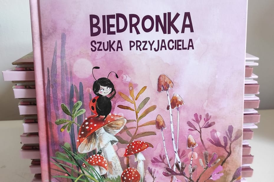 Książka "Biedronka szuka przyjaciela"