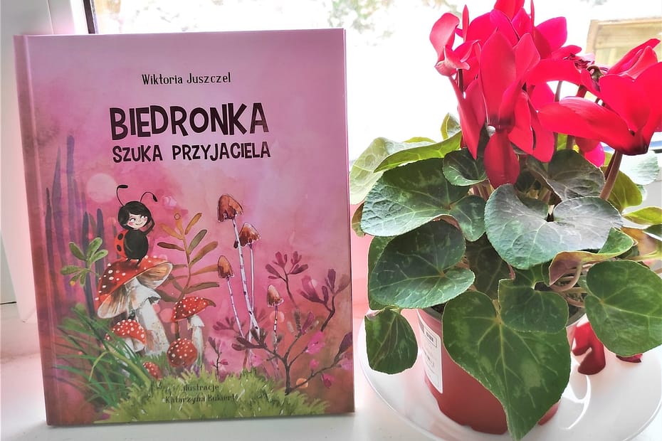 Fragment biedronka szuka przyjaciela